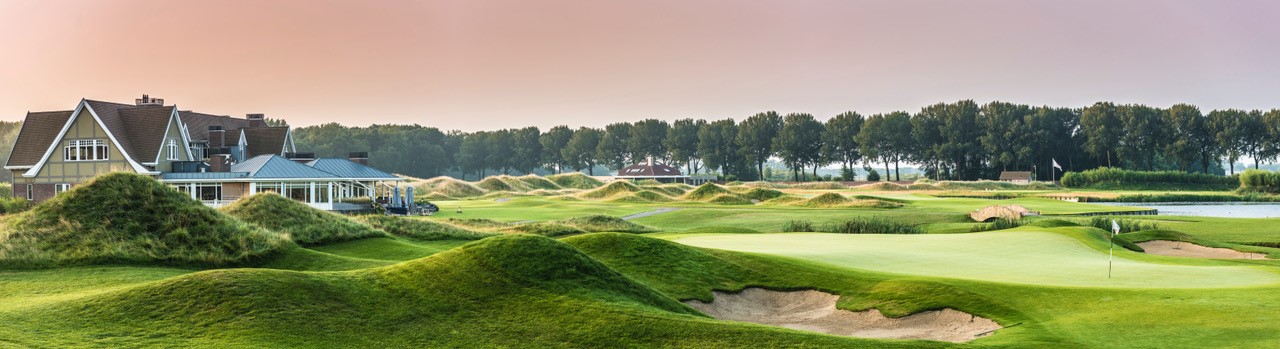 The Dutch 1